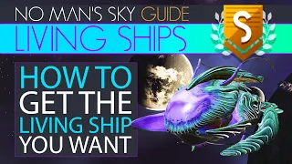 No Man's Sky Living Ship Locations ARE Consistent & Here's How It Works | Starship Hunting & Mapping