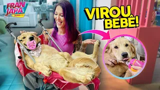 MINHA CACHORRA VIROU UMA BEBÊ !!! - Fran Japa