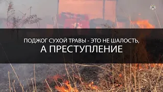 Поджог сухой травы  это не шалость, а преступление