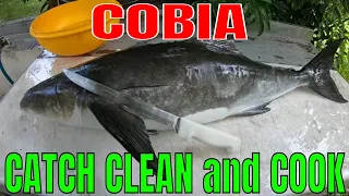 COBIA Catch Clean and Cook... YOU MUST TRY THIS !!!