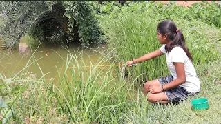 Fishing video ✅ || new amazing girl catch hook fishing 🎣 in village big pond in using food #videos