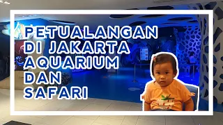 ANAK ANAK BERMAIN DAN BERPETUALANG DI JAKARTA AQUARIUM DAN SAFARI, ada apa aja ya???