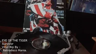 eye of the tiger - survivor - (vinyl rip)