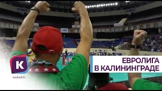 Баскетбольный клуб ЦСКА возьмёт на себя оборудование площадки в Калининграде для Евролиги