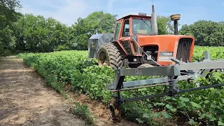 The Weed Zapper Destroying late season weeds. With a good look at the fields before and after.