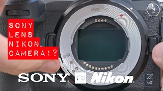 Sony - Nikon Megadap ETZ11 Adapter Focus Test Face Track | Sony Lenses-Nikon Z Cameras | Matt Irwin