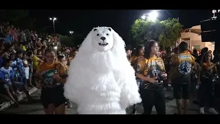 URRSO DA MATA NO ENCONTO DO URSO BLACK WHITE 20/02/2024