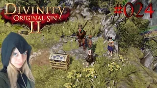 Versteckte Schätze | Divinity: Original Sin 2 #024 |