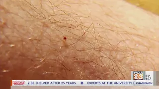 Outdoors expert shares how to avoid ticks in Central Illinois