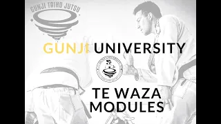 GunjiUniversity.com | Te Waza Gunji Taiho Jutsu Modules 1