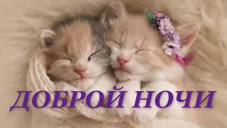 ДОБРОЙ НОЧИ! Желаю приятных сновидений!