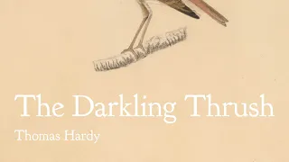 Poem Analysis: 'The Darkling Thrush' by Thomas Hardy