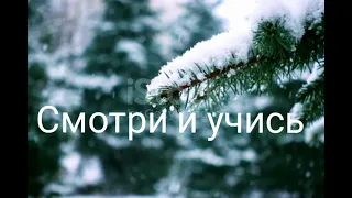 Смотри и учись