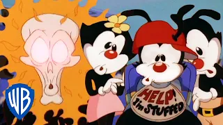 Animaniacs | The Warners Annoy Mr. Death | Classic Cartoon | WB Kids
