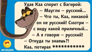 Смешные анекдоты. Про Ивана-Царевича, Хоттабыча, крокодила Гену и Чебурашку, Карлсона и др.