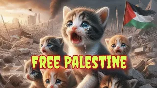 ATOUNA EL TOUFOULI|عطونة التفولي|free Palestine, Palestine cat