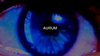 $UICIDEBOY$ ft. Bones - Aurum (Lyric Video)