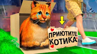 ЭТОГО КОТЁНКА НИКТО НЕ ХОЧЕТ ПРИЮТИТЬ В ГТА 5 ! Я СТАЛ КОТОМ НА 24 ЧАСА В GTA 5