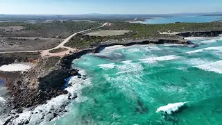 Drone Gets Bird's-Eye View of Sharks Feeding Off South Australia Coast