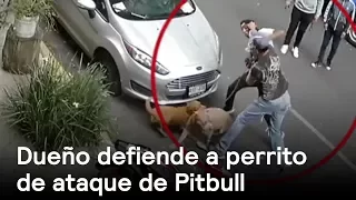 Dueño defiende a perrito de ataque de Pitbull - CDMX - En Punto con Denise Maerker