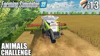 SOYBEANS Harvest and LOAD with CLAAS LEXION | ANIMALS Challenge | Farming Simulator 22