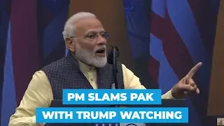 Howdy Modi: PM hails 370 revocation; slams Pak terror with Trump in audience
