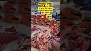 Amazing Price - Salmon is one the most expensive fish in the world, 20 only