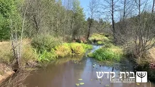 Псалом 104. "Згадай мене, Господи, в ласці Своїй". Живе Слово. Слово Життя. Українська Аудіобіблія