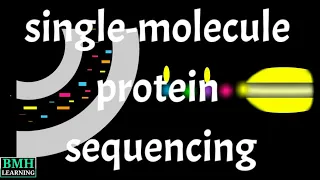 Single-Molecule Protein Sequencing | Single Molecule Gene Sequencing | Single Molecule Proteomics |