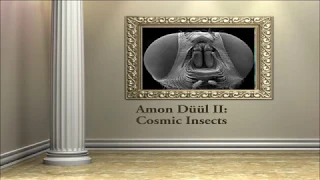 Amon Düül II: Cosmic Insects