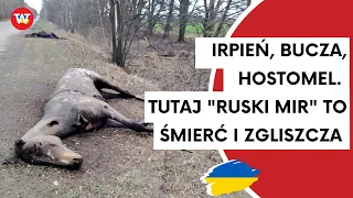 #Ukraina. Irpień, Bucza, Hostomel - tutaj "ruski mir" to oznacza śmierć, cierpienie i zgliszcza