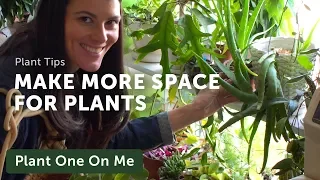 12 Ways to Make More Space for Houseplants — Ep 162