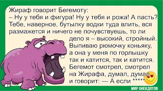 Смешные сказочные анекдоты про Зверей, про Буратино и папу Карло, по Царя Зверей и Зайца, про Волка