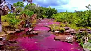 Turismo de Naturaleza Geotours del Guaviare