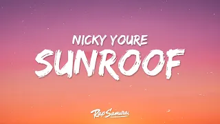 Nicky Youre - Sunroof (Lyrics)