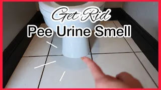 HOW TO GET RID OF PEE URINE SMELL IN BATHROOM| SIMPLE EFFECTIVE Way to Make you Bathroom Smell Clean