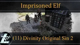 Divinity Original Sin 2 Definitive Edition (#11) |The Imprisoned Elf | Let's Play