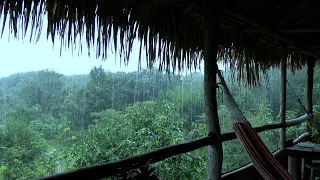 Rain from the Amazon jungle - Heavy Rain and Thunder Sounds for Sleeping, Relax, Study, Work...