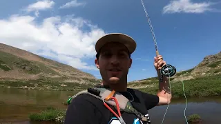 CUTTHROAT TROUT at a remote ALPINE LAKE!