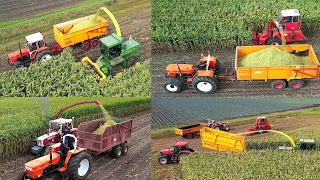 Oldtimer mais hakselen | Chopping corn | John Deere | Steyr | Fiat | Case IH | International | 2023