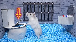 Hamster Escape: Prison Maze 🛑Live Stream