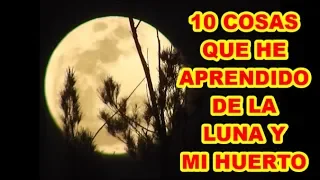 LA LUNA Y EL HUERTO, 10 COSAS QUE ME HAN ASOMBRADO (▀̿Ĺ̯▀̿ ̿)