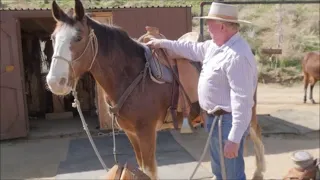 Some Common Sense Saddle Tips