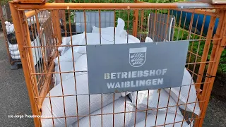 Kurzfilm: Hochwasserlage in Waiblingen am 02.06.2024; Impressionen