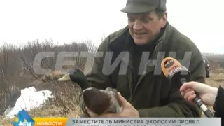 Утиные истории: сезон охоты на пернатых открывается в Нижегородской области