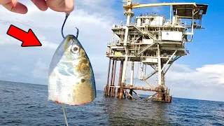 Pitching Cut Bait Under Giant Oil Rigs for Crazy Action!