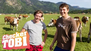 Der Milch-Check | Reportage für Kinder | Checker Tobi