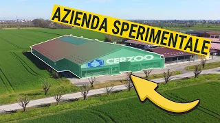 Il Segreto di Cerzoo: Azienda Agricola SPERIMENTALE
