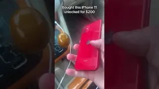 iPhone 11 Flip