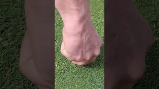 How to Fix a Ball Mark
